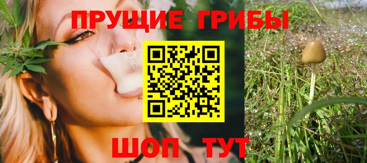 Псилоцибиновые грибы Psilocybine cubensis  Вход с VPN  Мурманск 